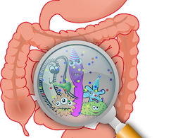 causes of leaky gut syndrome